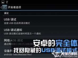 USB調試不見了怎么辦？電腦圖文設計找回隱藏的USB調試模式指南