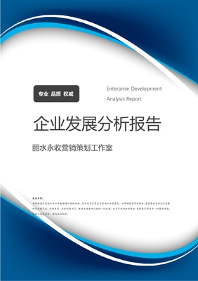 麗水永收營銷策劃工作室企業發展與營銷策略分析報告